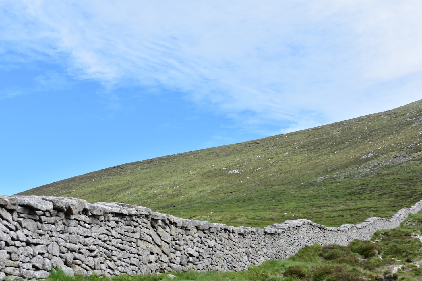 Exploring the Flora and Fauna of Slieve Bloom