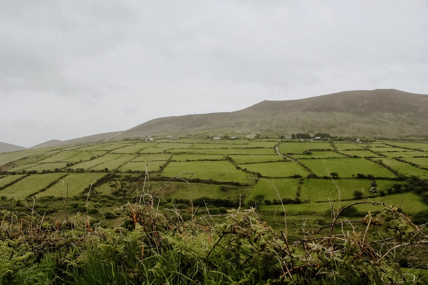 Seasonal Highlights of Slieve Bloom